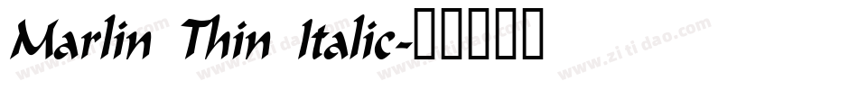 Marlin Thin Italic字体转换